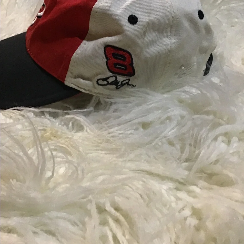 Men’s Budweiser dale JR cap/hat